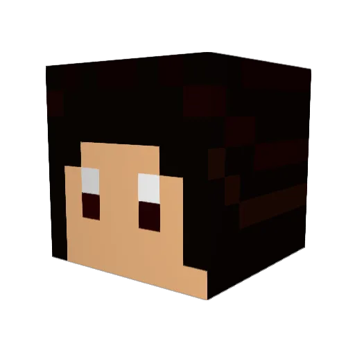 HC_Kiwi Minecraft avatar head, 3D render