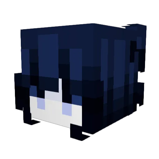 HCskyhope Minecraft avatar head, 3D render