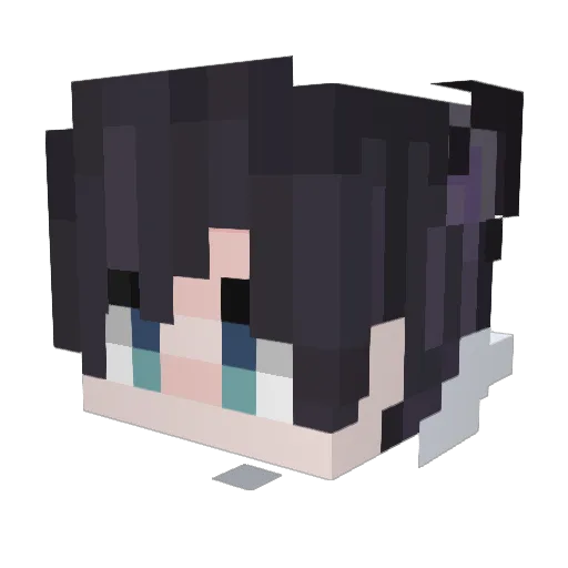 HD248 Minecraft avatar head, 3D render