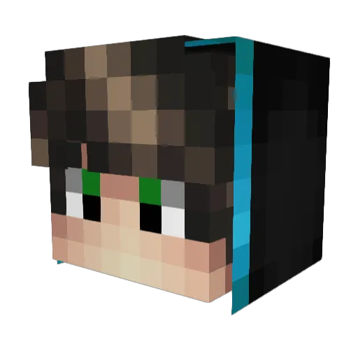 HDB_Paisy Minecraft avatar head, 3D render