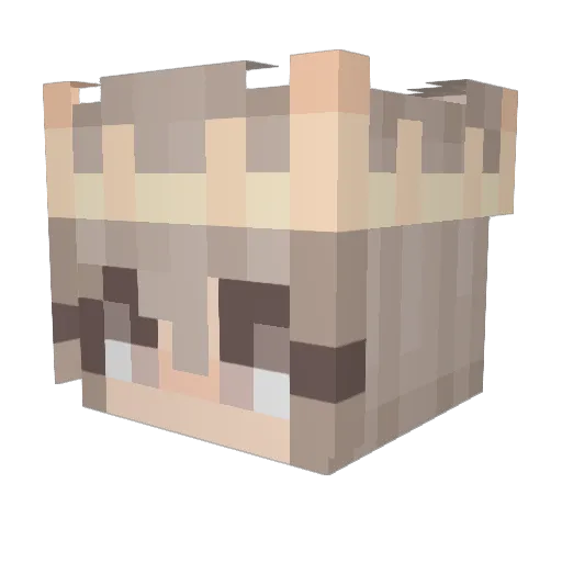 HDSQuinn Minecraft avatar head, 3D render