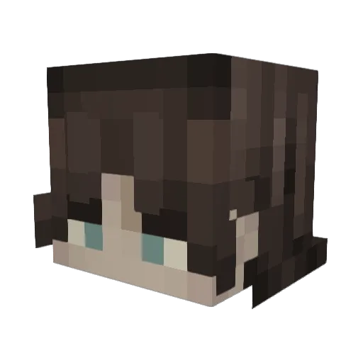 HDStorage Minecraft avatar head, 3D render
