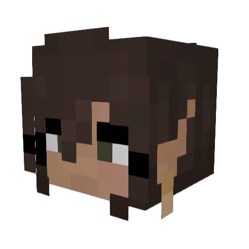 HDTV_2020 Minecraft avatar head, 3D render