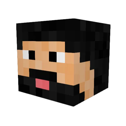 HDX_logan Minecraft avatar head, 3D render