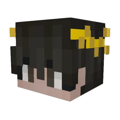 HDYB Minecraft avatar head, 3D render