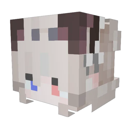 HD_SSN Minecraft avatar head, 3D render