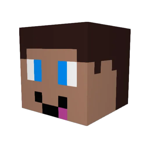HDani010 Minecraft avatar head, 3D render