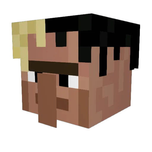 HDgamer2591 Minecraft avatar head, 3D render