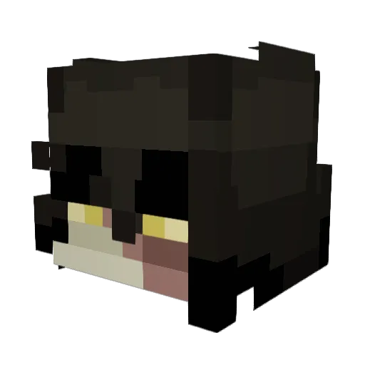 HDoubleB_ Minecraft avatar head, 3D render