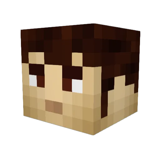 HEB2013 Minecraft avatar head, 3D render
