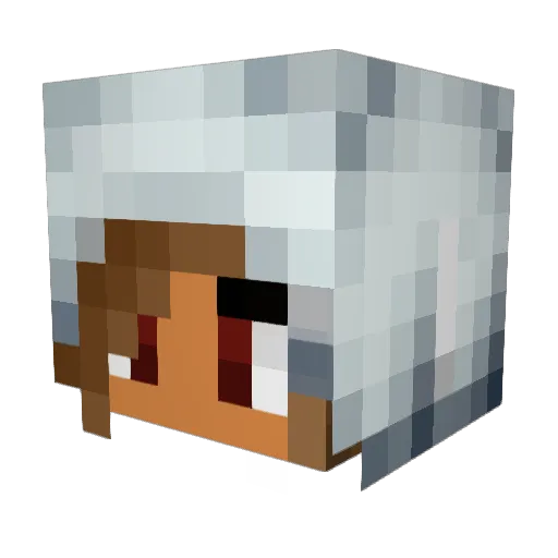HECKYER Minecraft avatar head, 3D render