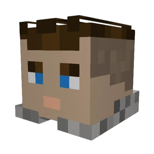 HEELMUT Minecraft avatar head, 3D render