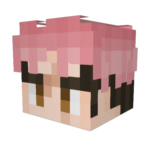 HEICTHOR Minecraft avatar head, 3D render