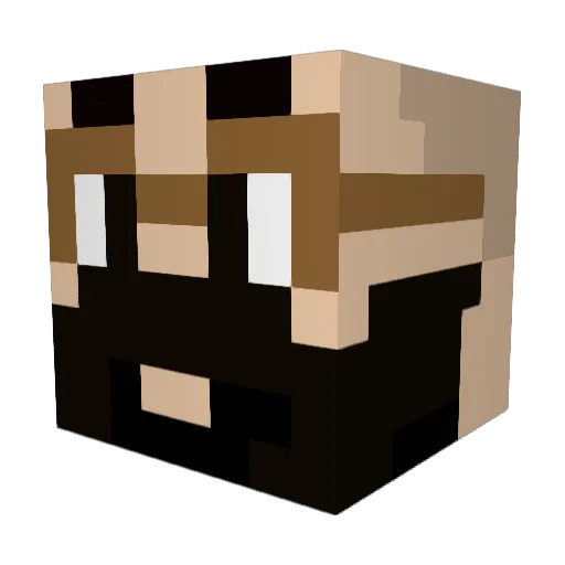 HEJI64 Minecraft avatar head, 3D render