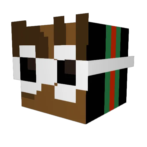 HELLFIRE9087 Minecraft avatar head, 3D render