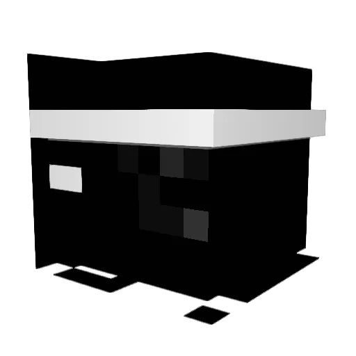 HELLY_HANSEN_ Minecraft avatar head, 3D render