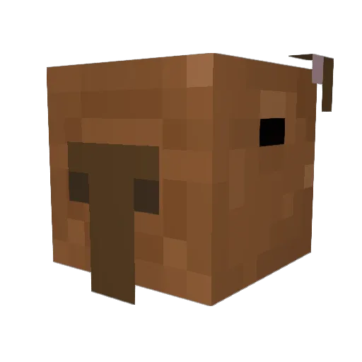 HELPLLLL Minecraft avatar head, 3D render