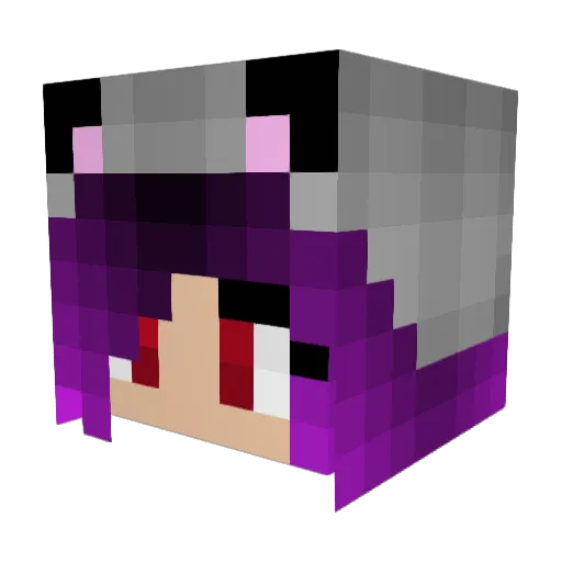 HELPMEPLS12345 Minecraft avatar head, 3D render