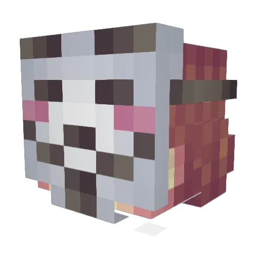 HEMrKrazyYT Minecraft avatar head, 3D render