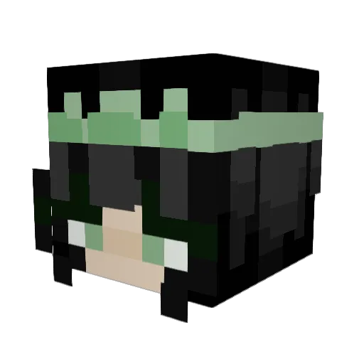 HEO_OP1234 Minecraft avatar head, 3D render