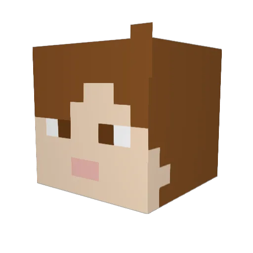 HEROBRINE339 Minecraft avatar head, 3D render