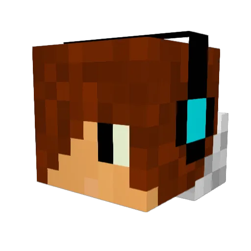 HEROBRINEIAN03 Minecraft avatar head, 3D render