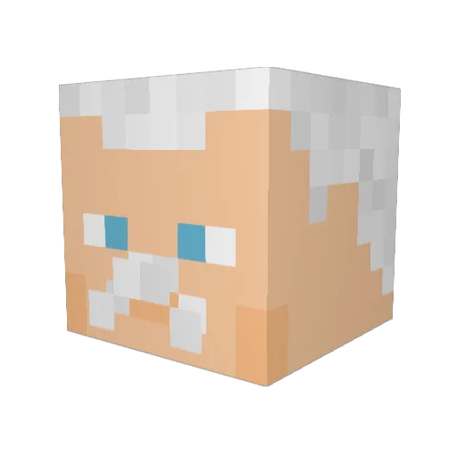 HERORAF Minecraft avatar head, 3D render