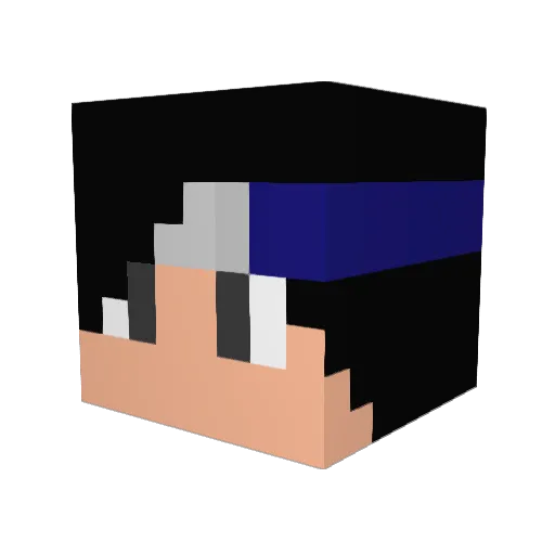 HERO_MINE Minecraft avatar head, 3D render