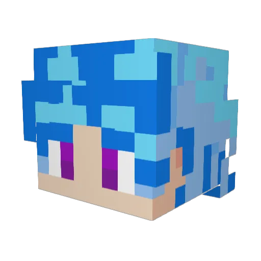HERO_RAIDER Minecraft avatar head, 3D render
