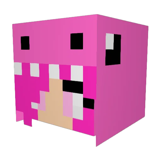 HERSHEYYLOLL Minecraft avatar head, 3D render