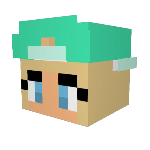 HESTBEST12 Minecraft avatar head, 3D render