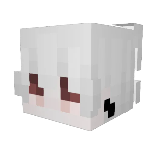 HETPAXAH Minecraft avatar head, 3D render