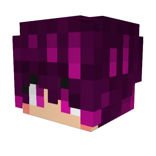 HEisT05 Minecraft avatar head, 3D render