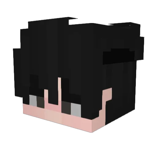 HElL_HlTLER Minecraft avatar head, 3D render
