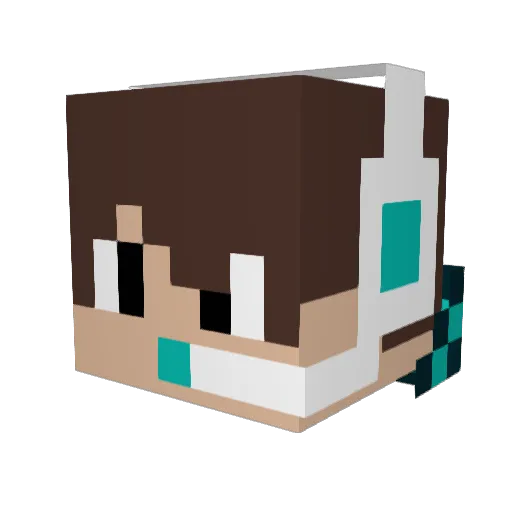 HFIIBasketball03 Minecraft avatar head, 3D render