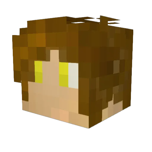 HFRANCK Minecraft avatar head, 3D render