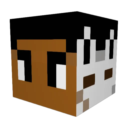 HF_Swifty Minecraft avatar head, 3D render