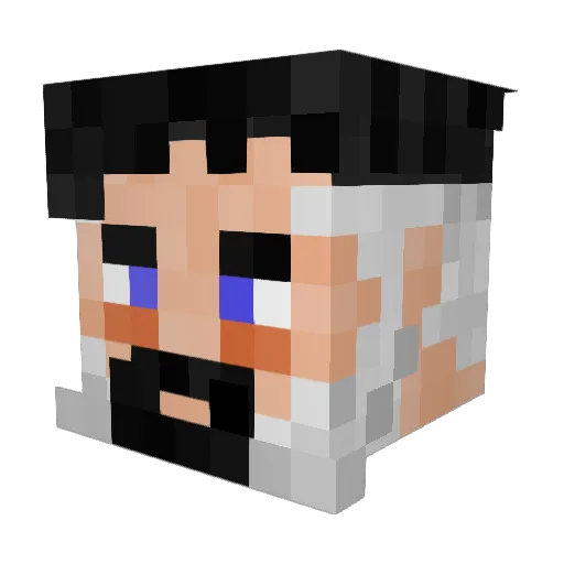HFreeman06 Minecraft avatar head, 3D render