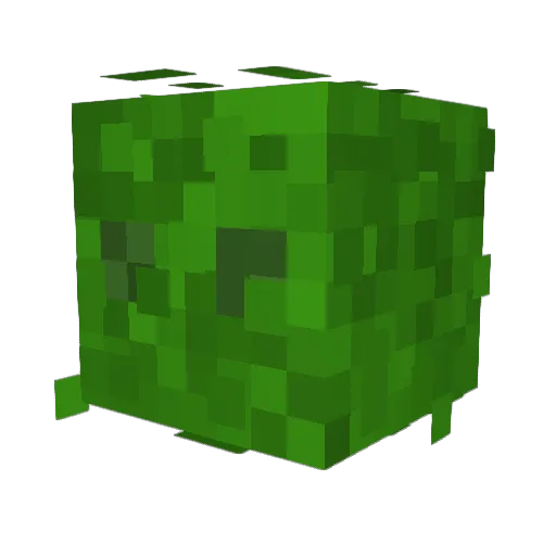 HG2004 Minecraft avatar head, 3D render