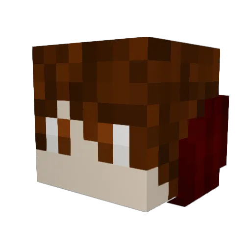 HGH2016 Minecraft avatar head, 3D render