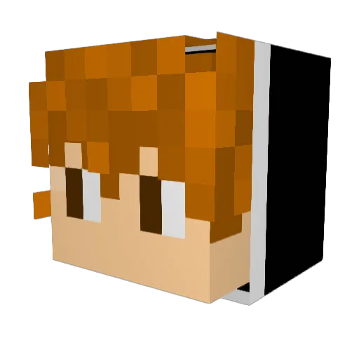 HGS_Ghost Minecraft avatar head, 3D render