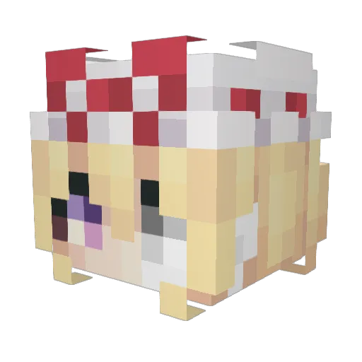HGS_KarmicWinds Minecraft avatar head, 3D render