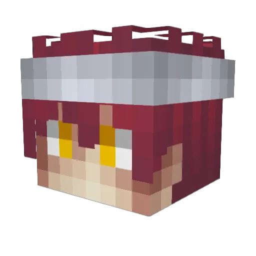 HGS_TORONG Minecraft avatar head, 3D render