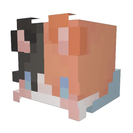 HHHHHHHHHHH2929 Minecraft avatar head, 3D render