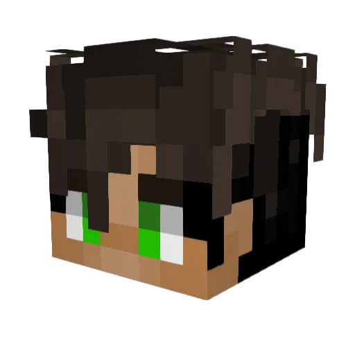 HHL_SF Minecraft avatar head, 3D render