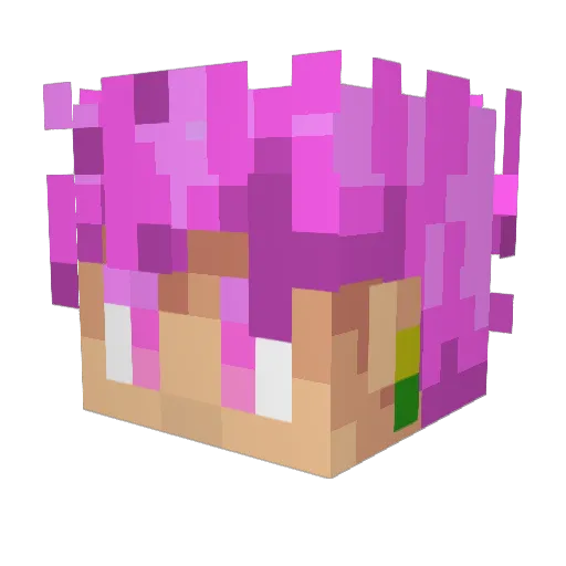 HID9 Minecraft avatar head, 3D render