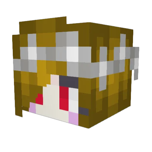 HIDE_TM Minecraft avatar head, 3D render