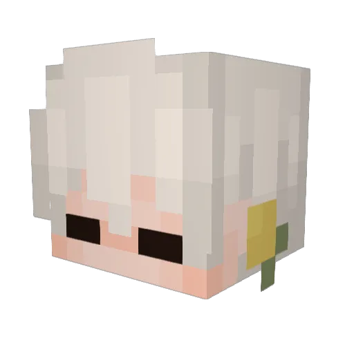 HIDONI_ Minecraft avatar head, 3D render