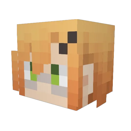 HIIRO27 Minecraft avatar head, 3D render