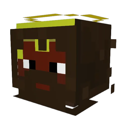 HIKARI2077 Minecraft avatar head, 3D render